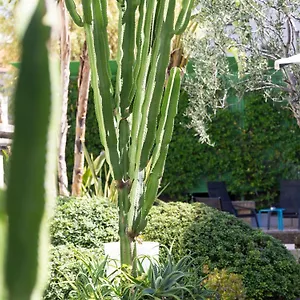 https://mercure-centre-notre-dame.fr-provencehotel.com